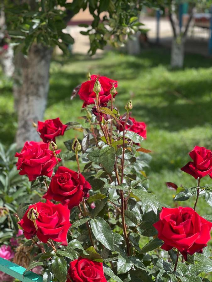 Guesthouse Gulmira Bokonbayevo Екстер'єр фото